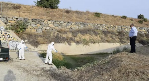  Alhaurín de la Torre acomete el plan especial contra los mosquitos en el entorno del río Guadalhorce