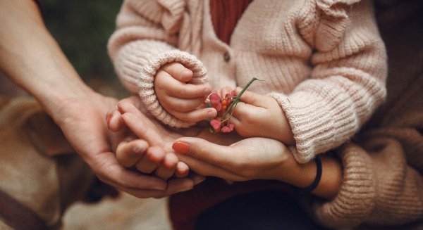 Un total de 178 familias en riesgo de exclusión social recibirán ayudas de la Diputación de Málaga