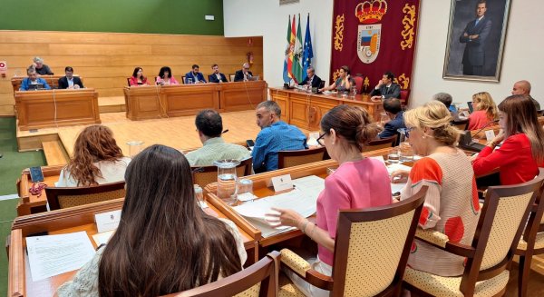 Torremolinos acuerda en pleno una moción en apoyo a las personas que padecen Enfermedad Inflamatoria Intestinal