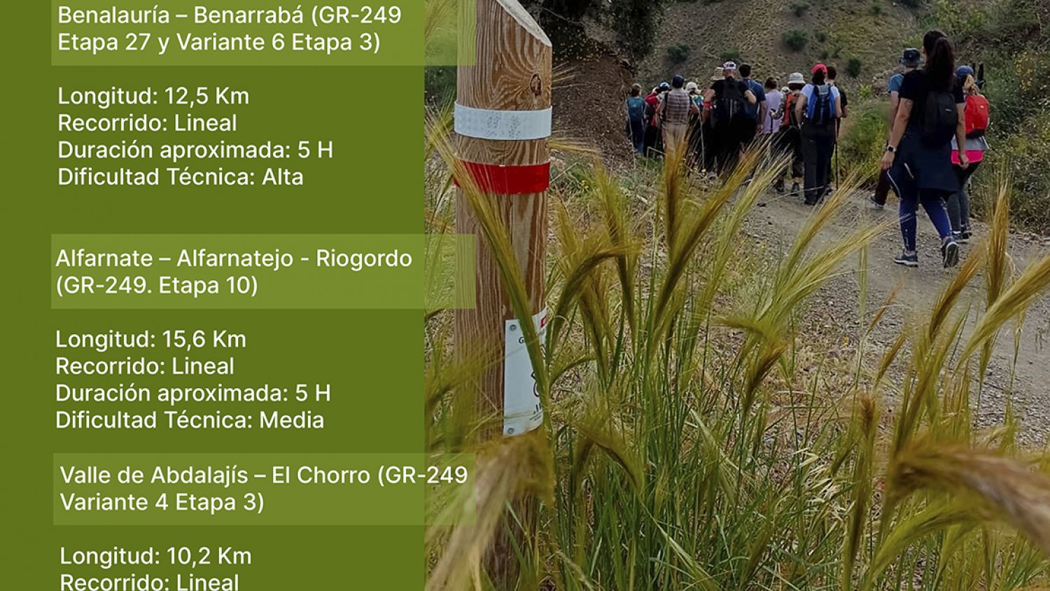 Las visitas interpretativas a la Gran Senda recorrerán la Axarquía, Serranía de Ronda y los valles del Genal y Guadalhorce hasta diciembre