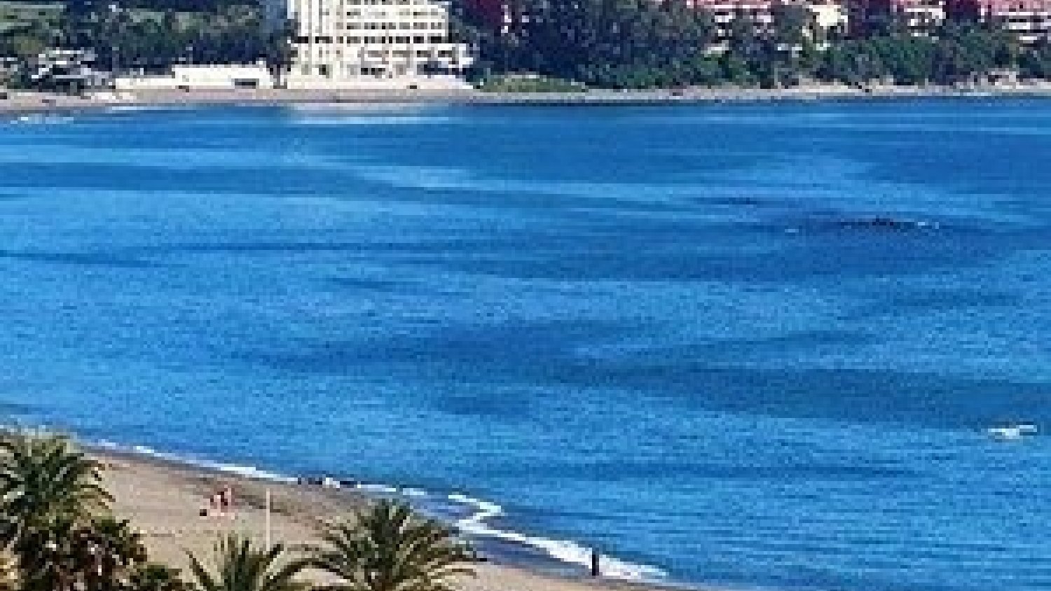 La playa del Cristo recibirá aportes de arena procedentes del dragado de la boca del puerto deportivo de Estepona