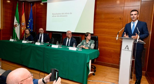 Andalucía prevé una producción de más de 1M de toneladas de aceite de oliva en la próxima campaña 
