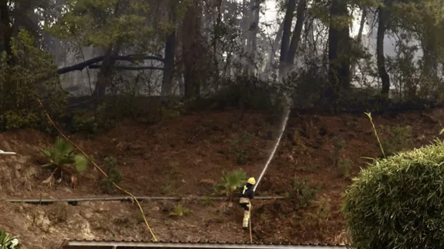 Controlado el incendio en el paraje del Leoncillo de Málaga capital