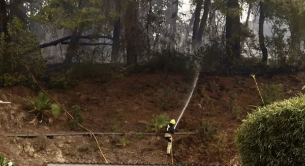 Controlado el incendio en el paraje del Leoncillo de Málaga capital
