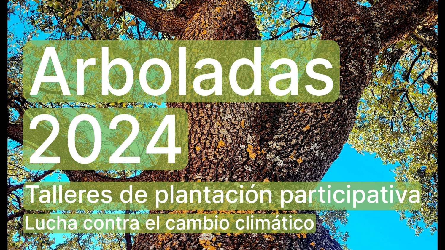 La Diputación de Málaga recuperará una especie autóctona de zonas húmedas a través de sus arboladas de otoño
