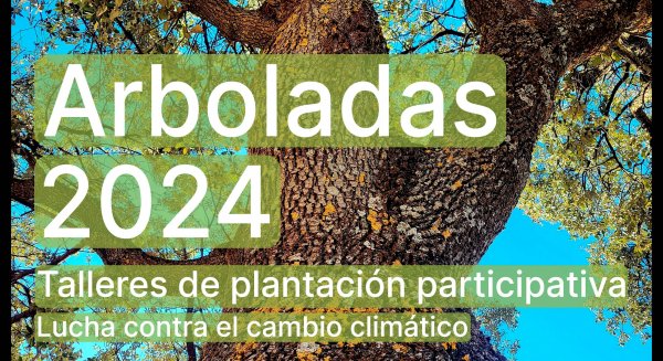 La Diputación de Málaga recuperará una especie autóctona de zonas húmedas a través de sus arboladas de otoño