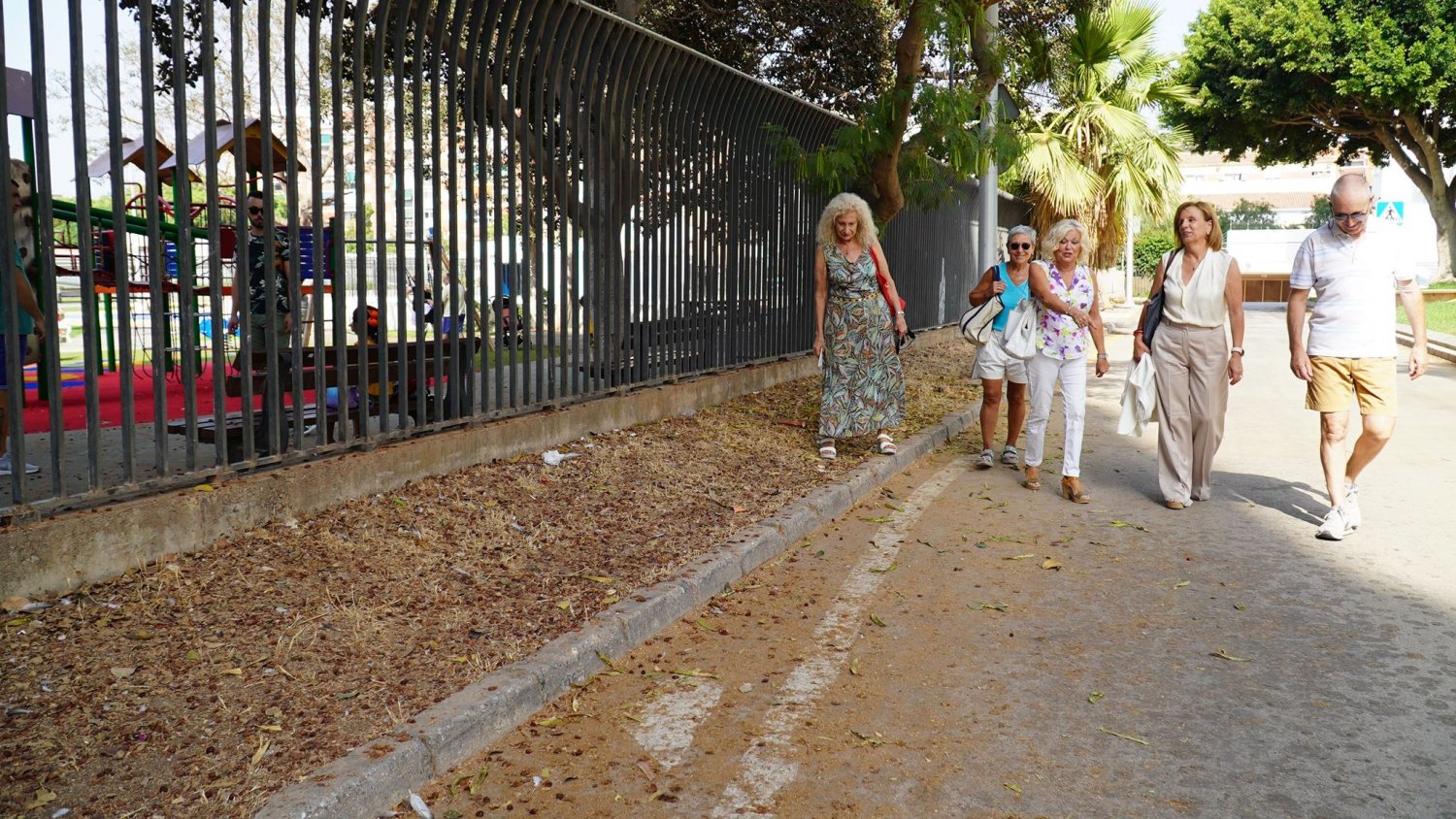 PSOE pide nuevo acerado en Parque Mediterráneo para evitar accidentes