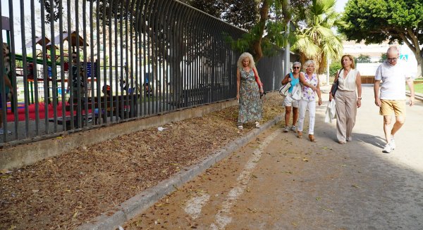 PSOE pide nuevo acerado en Parque Mediterráneo para evitar accidentes