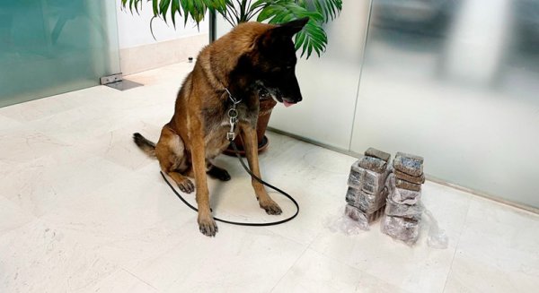 La unidad canina de la Policía Local de Antequera intercepta casi cinco kilos de droga en un control