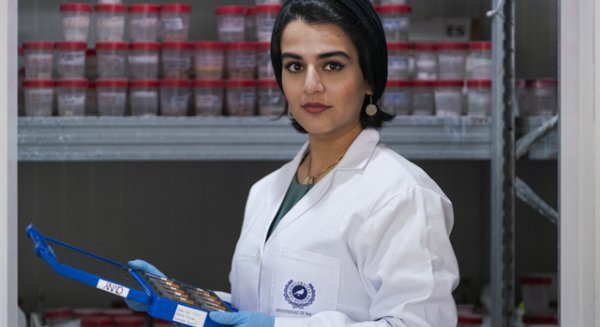 Una joven científica de la UMA logra el premio al mejor doctorado del mundo sobre materiales cementosos
