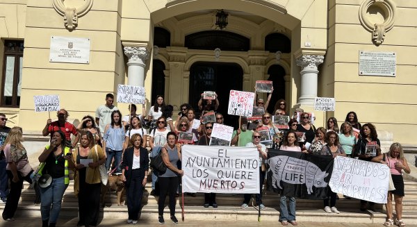El PSOE lamenta que para el PP en Málaga el compromiso medioambiental y el bienestar animal 'es sólo un pin en la solapa'   