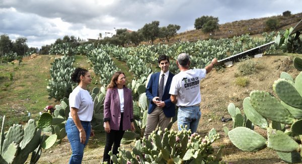 La Junta moviliza 64,7 millones en infraestructuras para luchar contra la sequía en el Guadalhorce