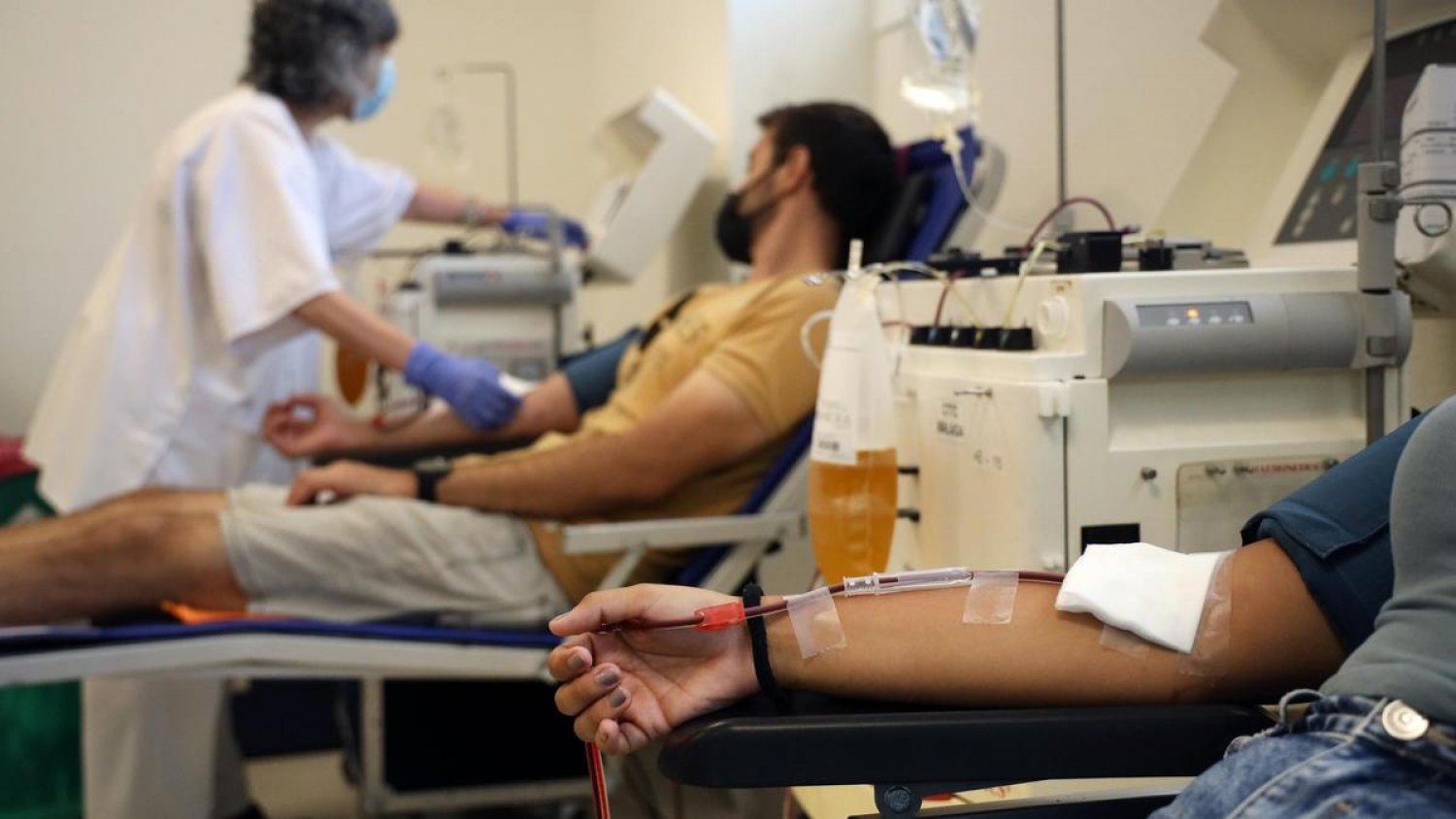 La Universidad de Málaga pone en marcha su campaña de donación de sangre y médula