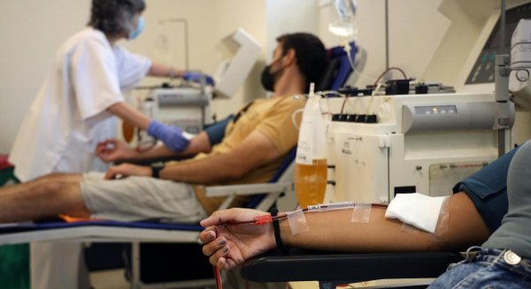 La Universidad de Málaga pone en marcha su campaña de donación de sangre y médula