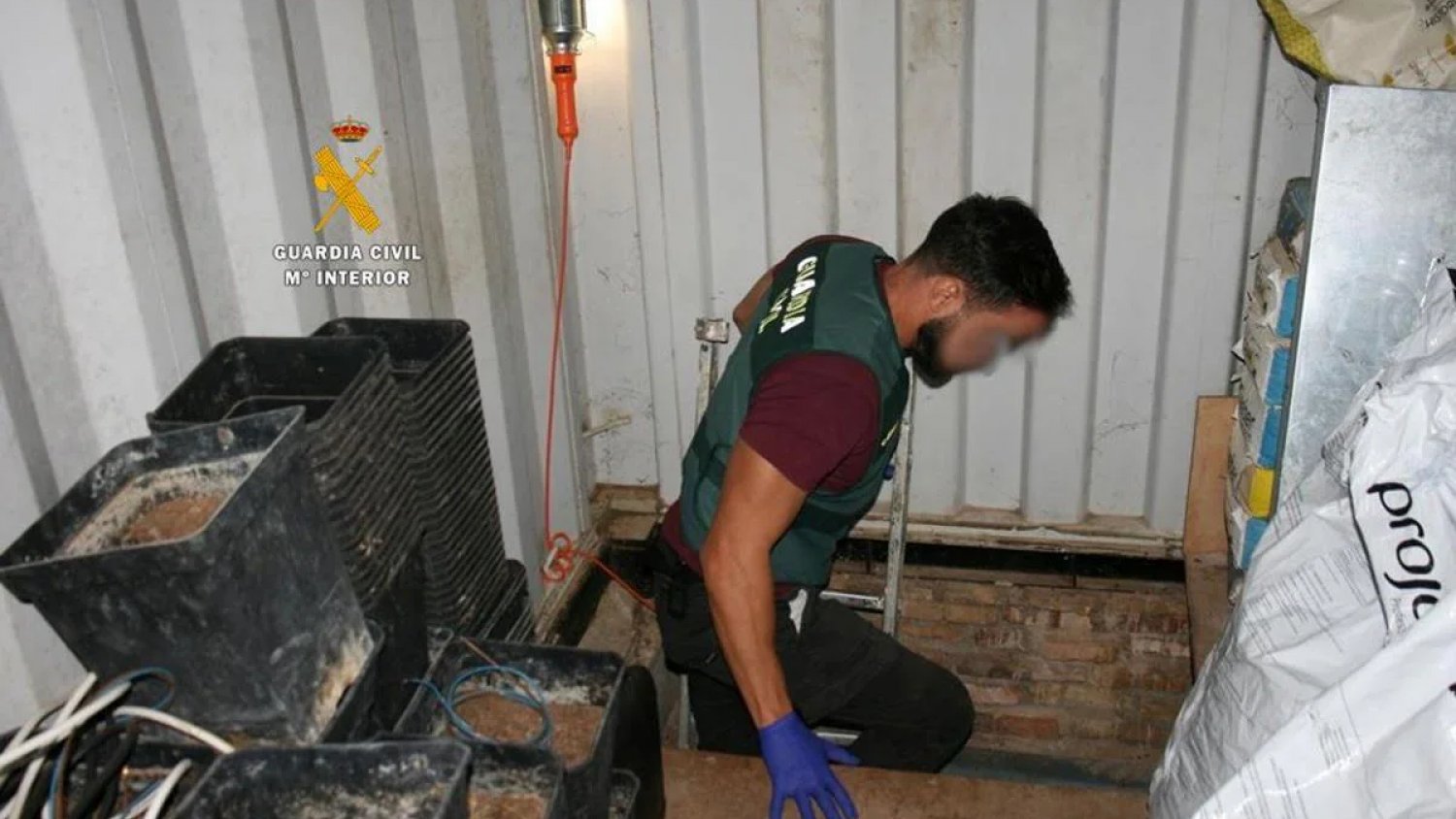 Desmantelan dos plantaciones de marihuana en un zulo subterráneo en Alhaurín de la Torre