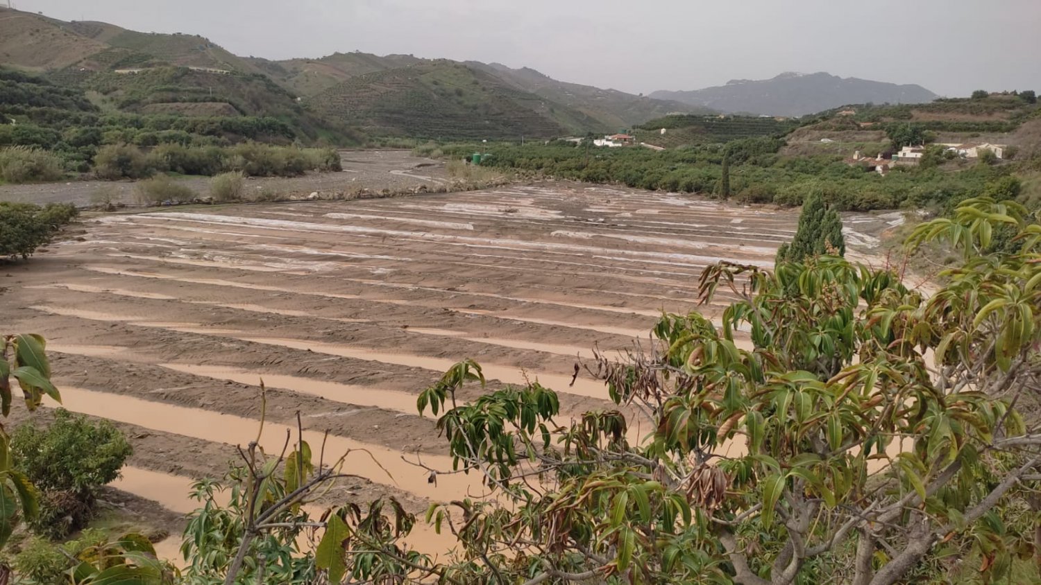 ASAJA Málaga alerta de graves daños ocasionados en la agricultura y ganadería tras el paso de la segunda DANA