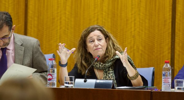 Las aulas andaluzas cuentan este curso con 2.096 profesionales más para el alumnado con necesidades educativas especiales