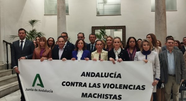 La Junta de Andalucía pide unidad institucional para luchar contra la violencia de género