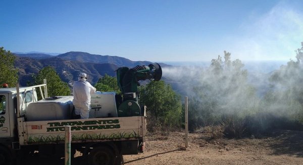 El Ayuntamiento comienza los tratamientos biológicos preventivos contra la procesionaria del pino