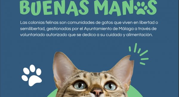 Málaga lanza una campaña de información y concienciación sobre la gestión de las cerca de 300 colonias felinas en la ciudad