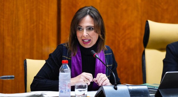 La Junta iniciará en el mes de enero las obras del carril BUS-VAO de acceso a Málaga por la A-357