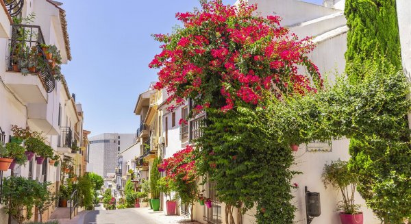 Estepona, reconocida por la protección y puesta en valor de sus espacios verdes