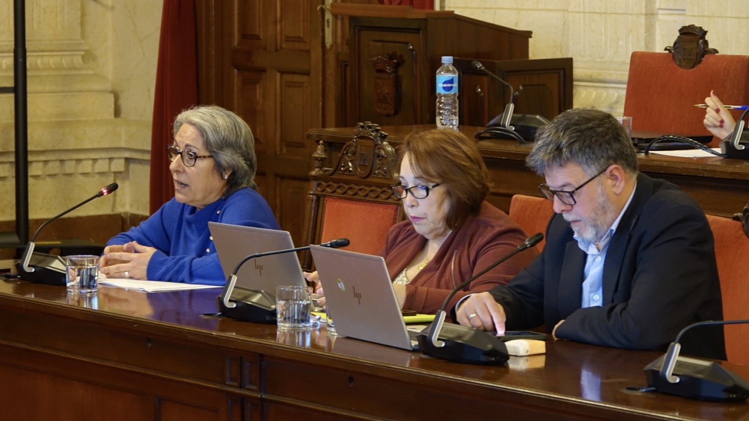 El PSOE consigue que el Ayuntamiento pida a la Junta la aplicación de la tasa turística en la ciudad de Málaga
