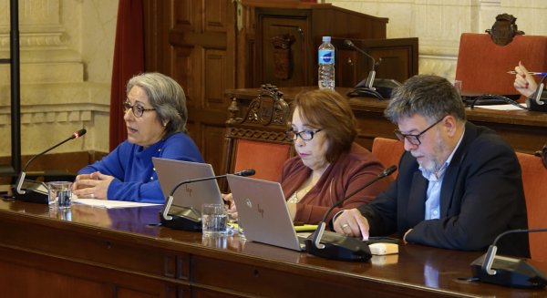 El PSOE consigue que el Ayuntamiento pida a la Junta la aplicación de la tasa turística en la ciudad de Málaga