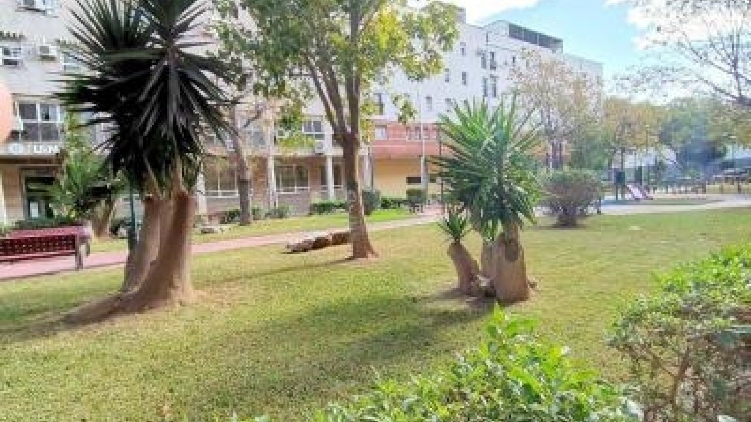 Sale a licitación el proyecto para la reurbanización de la calle Hamlet