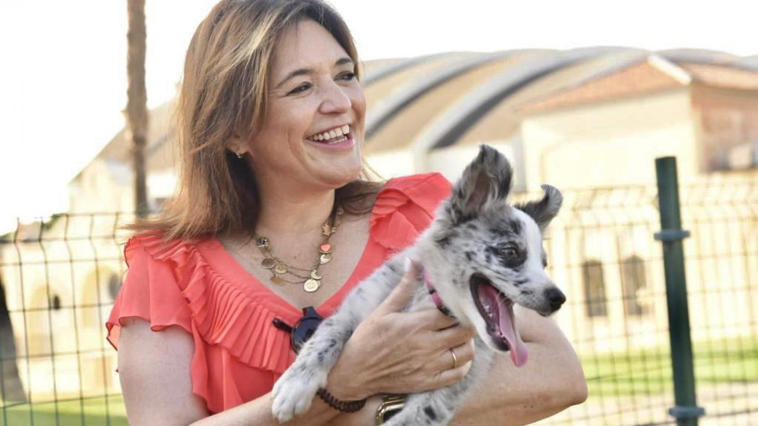 Torremolinos conmemora este jueves el `Día Mundial del Perro' con diferentes actividades