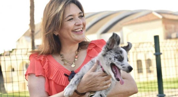 Torremolinos conmemora este jueves el `Día Mundial del Perro' con diferentes actividades