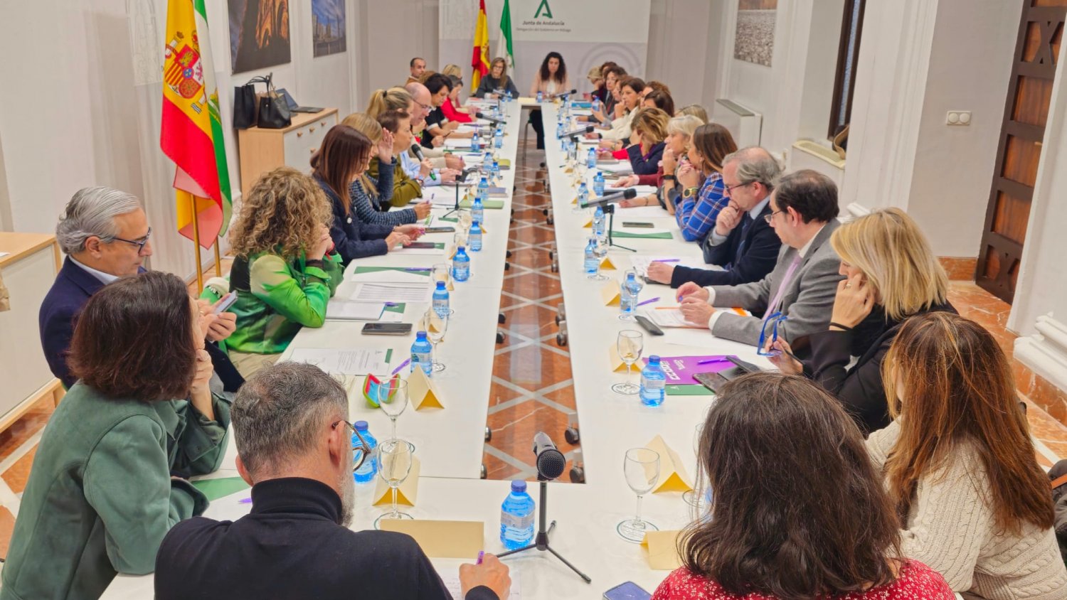 La comisión contra la violencia de género de Málaga analiza las actuaciones de 2024 y urge a 'no bajar la guardia' durante las fiestas