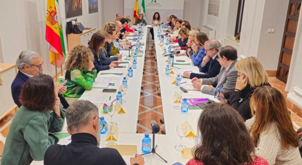 La comisión contra la violencia de género de Málaga analiza las actuaciones de 2024 y urge a 'no bajar la guardia' durante las fiestas
