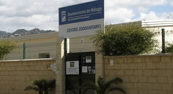 El Ayuntamiento de Málaga promueve la adopción de animales alojados en el Centro de Protección Animal Municipal