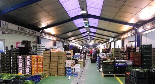 Mercamálaga alcanza las 291.000 toneladas de mercancías en 2024 