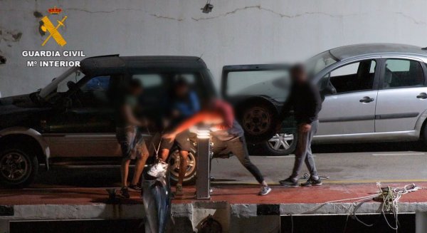 Cae un grupo delictivo dedicado a pesca furtiva del atún rojo en Málaga e investigan a ocho personas