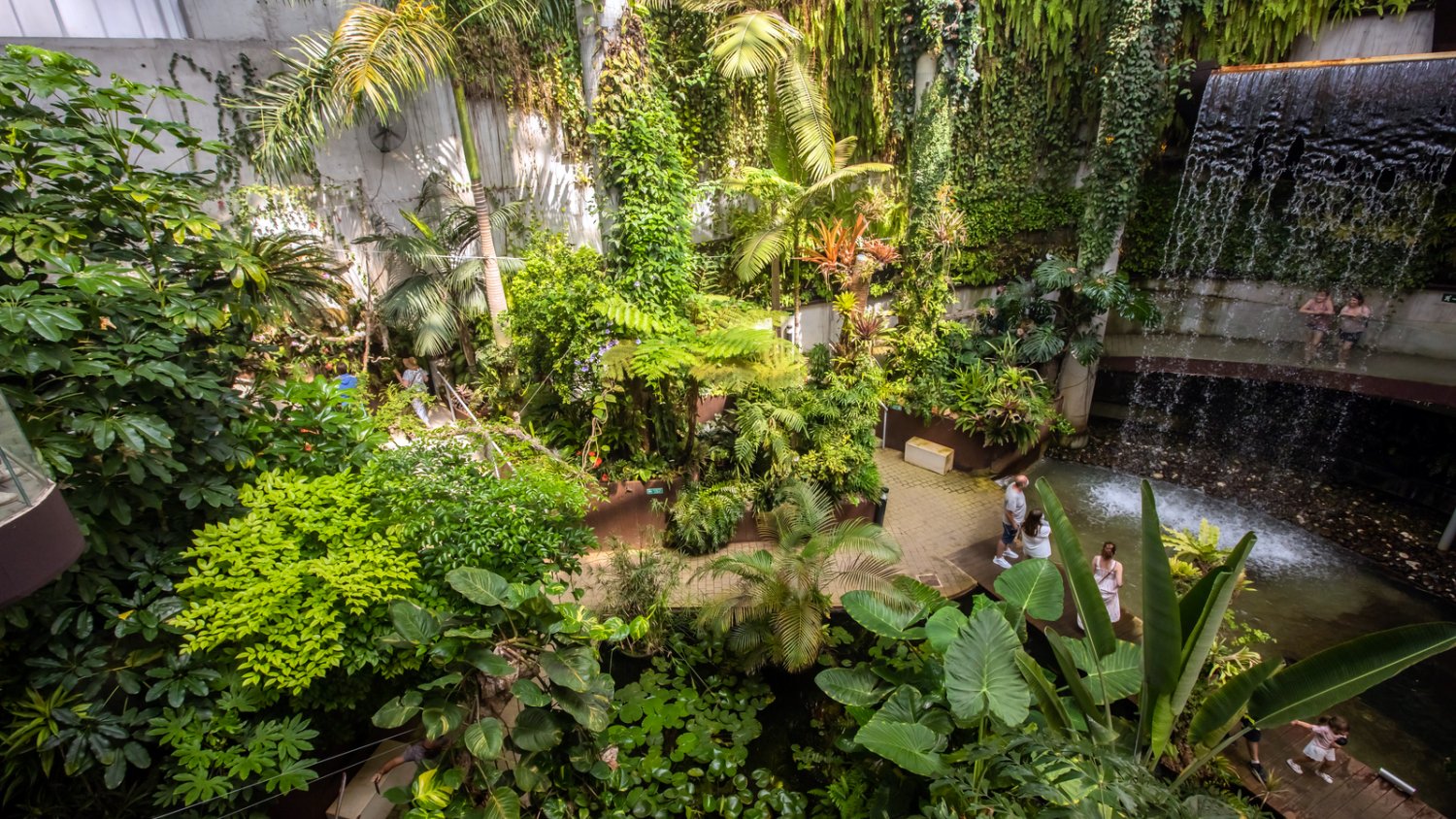El Parque Botánico-Orquidario de Estepona alcanza la mayor cifra de visitas desde su apertura 
