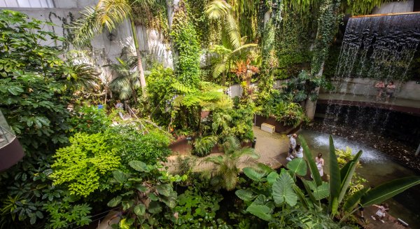 El Parque Botánico-Orquidario de Estepona alcanza la mayor cifra de visitas desde su apertura 