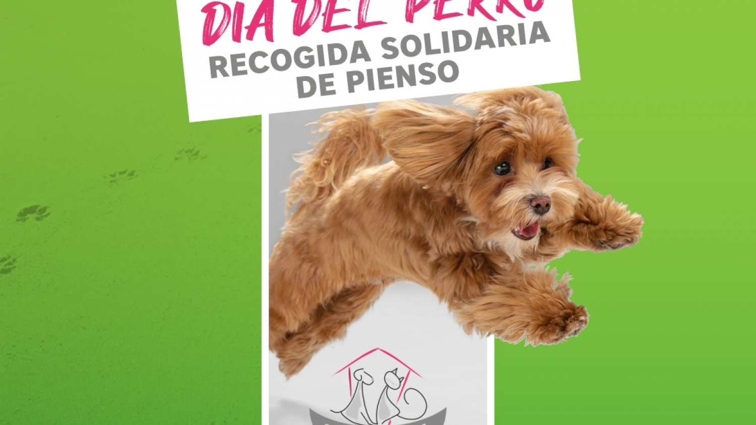 El Centro Comercial La Verónica celebra el Día  Mundial del Perro con una  acción solidaria
