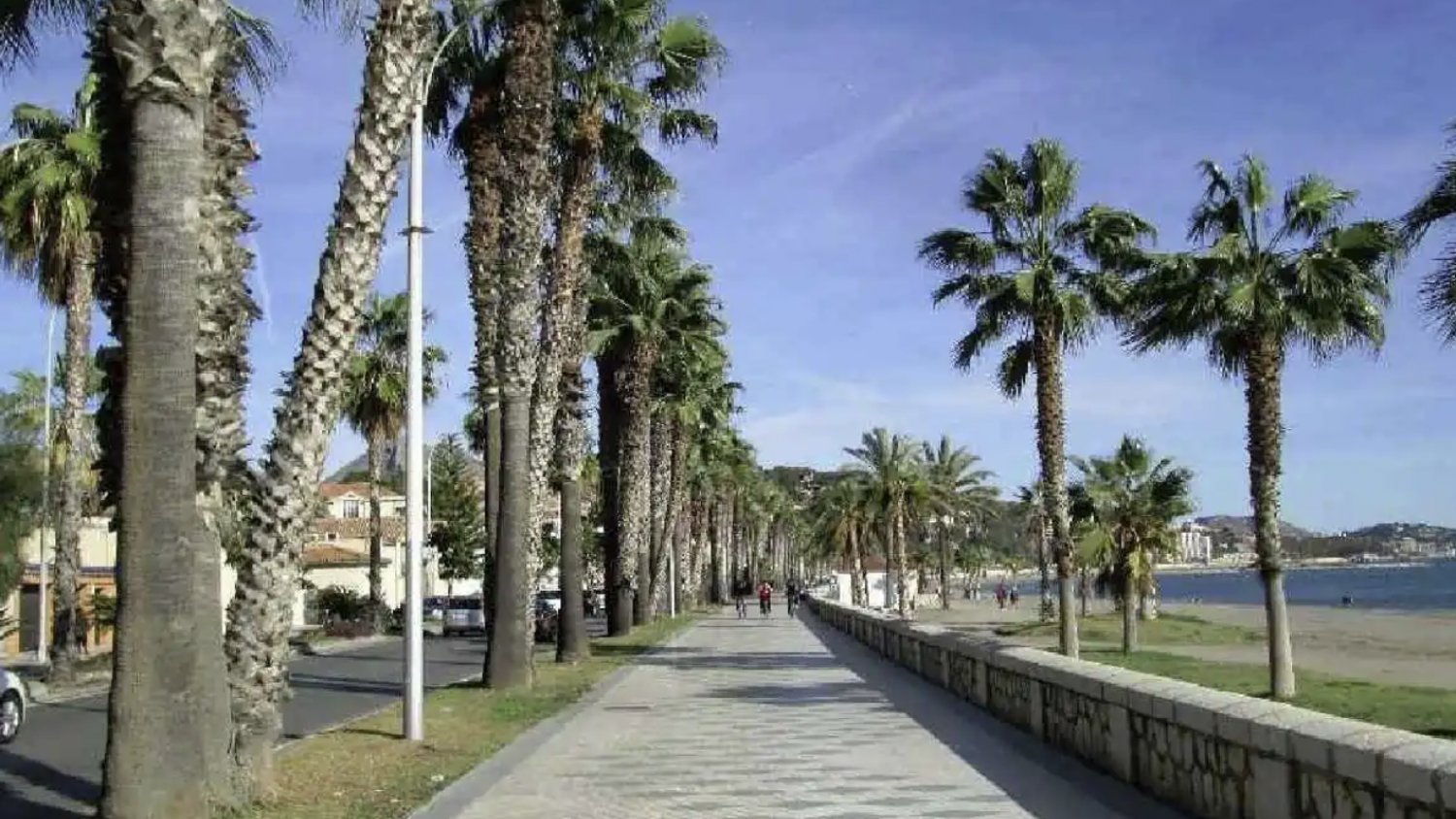 El Ayuntamiento contrata la tercera y última fase del ajardinamiento del paseo marítimo Pablo Ruiz Picasso