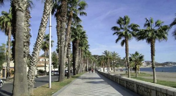 El Ayuntamiento contrata la tercera y última fase del ajardinamiento del paseo marítimo Pablo Ruiz Picasso