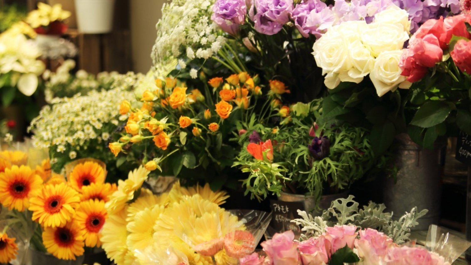 Torremolinos instalará un Mercado de Flores por el Día de San Valentín