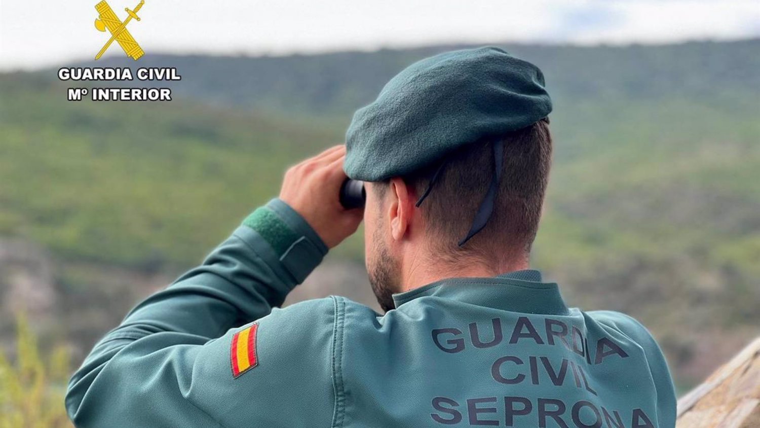 Detenido por dos incendios forestales en los municipios de Marbella y Ojén