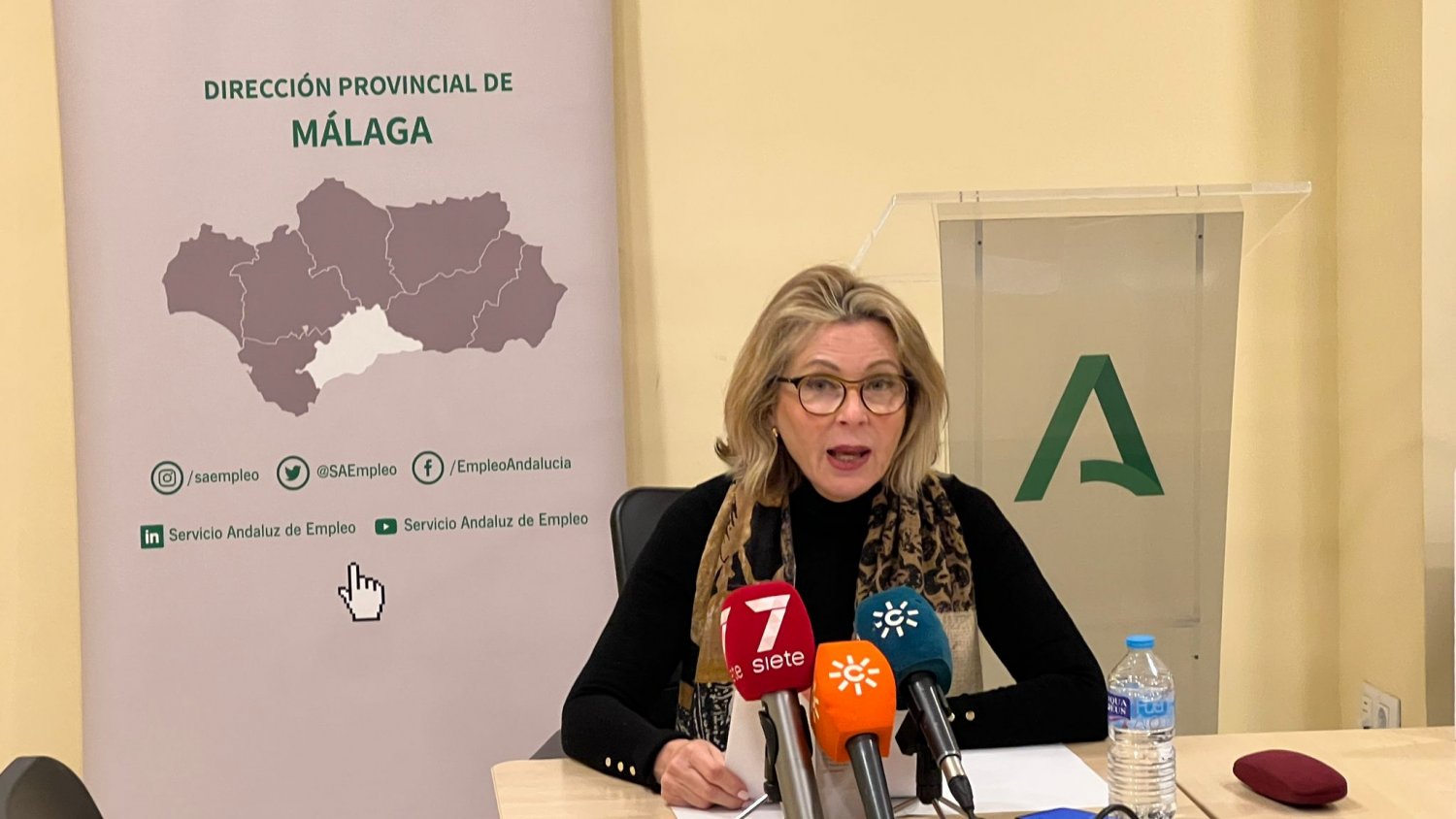 Más de 18.000 personas encontraron empleo en Málaga a través del SAE en 2024