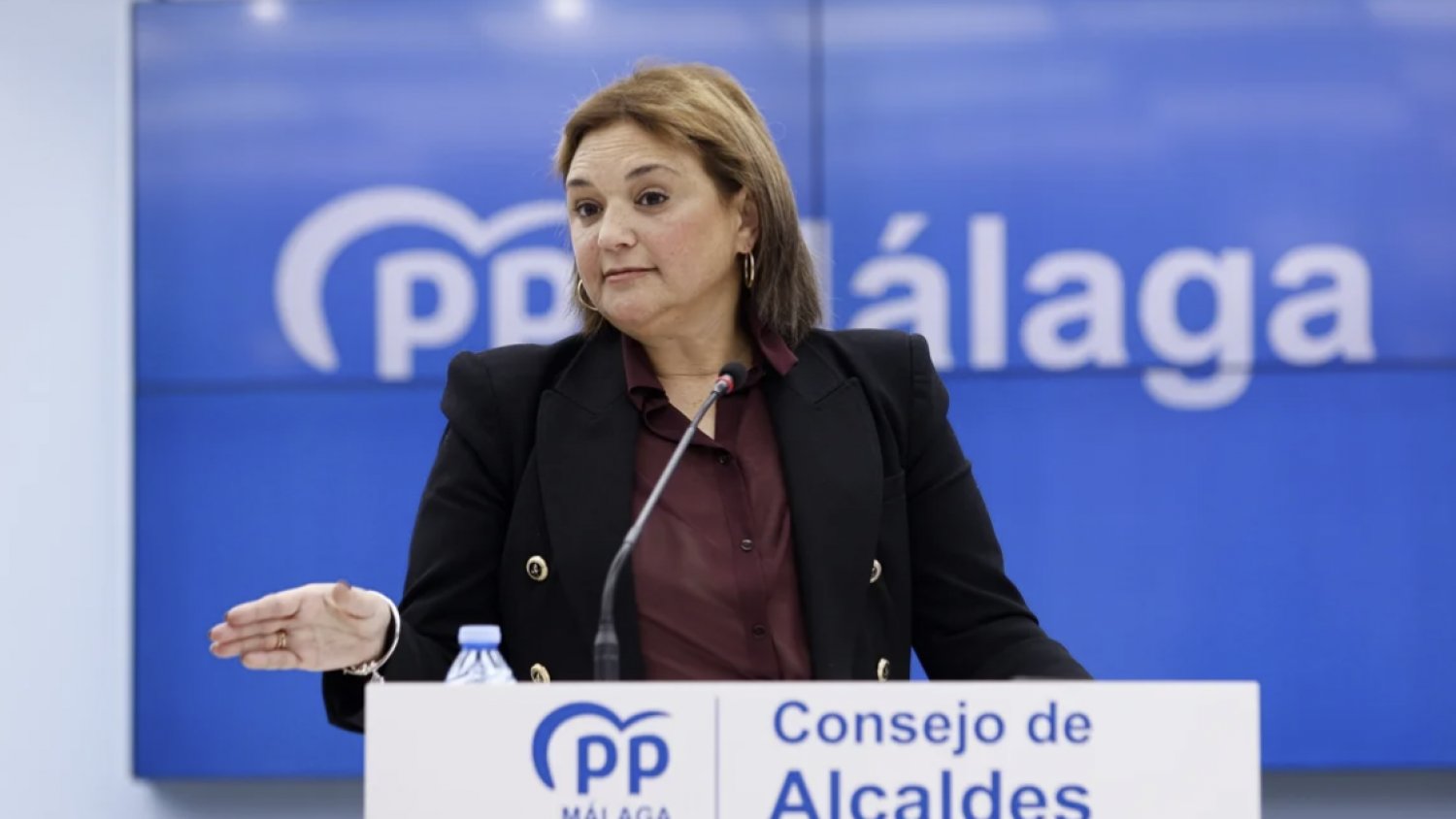 Del Cid pide al Gobierno bonificar la autopista de la Costa del Sol destinando 20 millones
