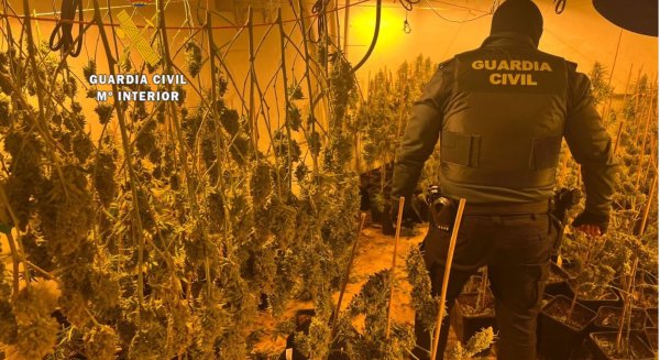 Siete detenidos al desmantelar una plantación de cultivo de marihuana dentro de una finca de Cártama