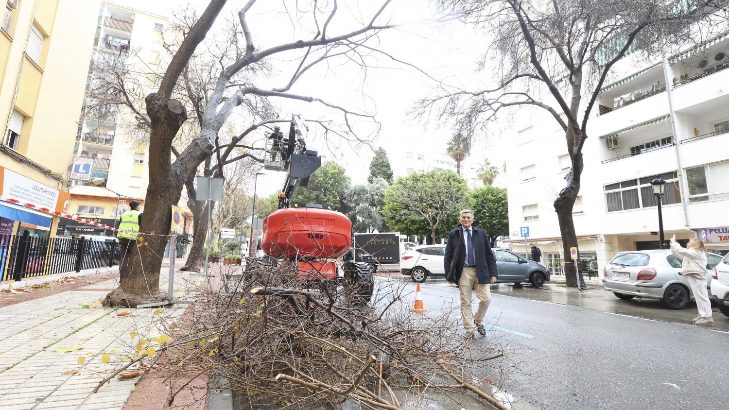 El Plan de Poda actuará en 1.600 ejemplares del parque urbano forestal de San Pedro Alcántara