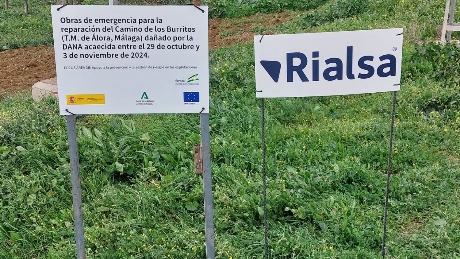 La Junta destina 3 millones para la reparación de 90 vías rurales afectadas en Málaga por la DANA de octubre