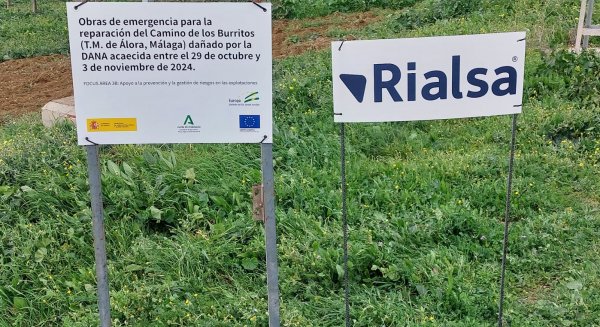 La Junta destina 3 millones para la reparación de 90 vías rurales afectadas en Málaga por la DANA de octubre