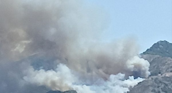 Declarado un incendio forestal en el paraje El Higuerón en Mijas
